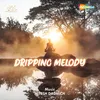 About Dripping Melody Song